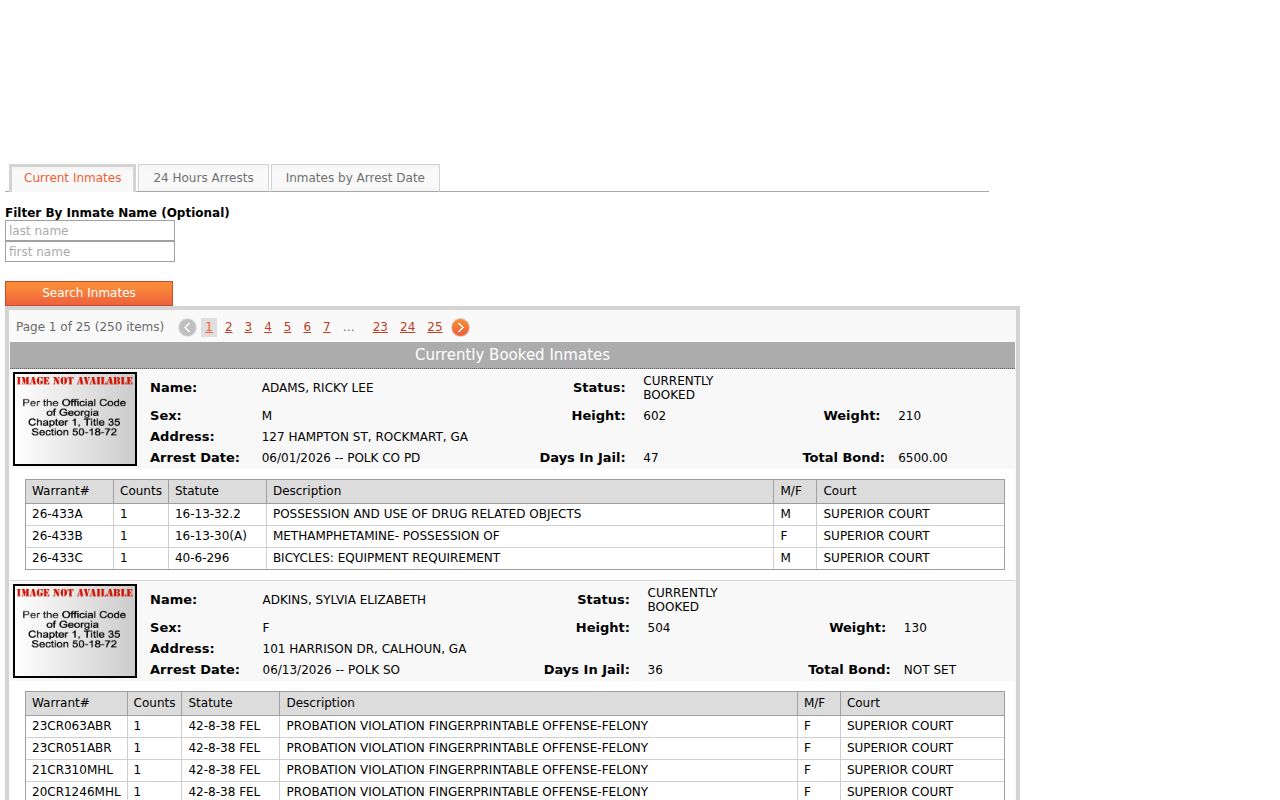Current Polk County jail arrest record search fields